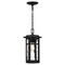 Quoizel Uma 1-Light Matte Black Mini Pendant UMA1508MBK - alternate 1